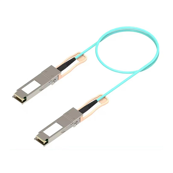 How many fiber optic cables does a router typically connect to 