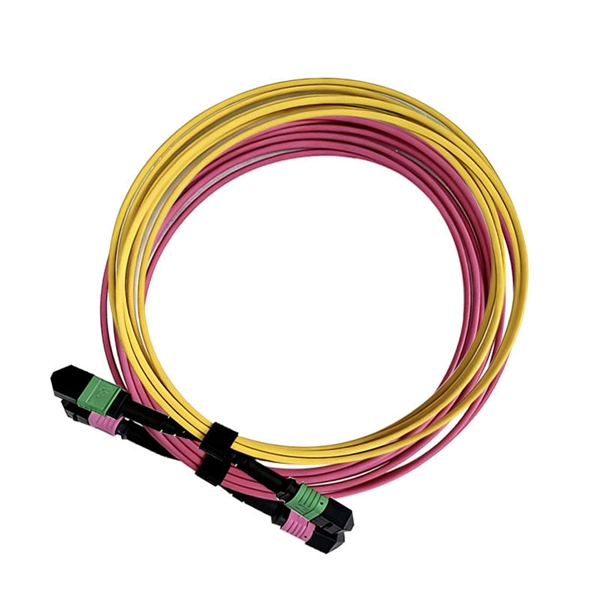 Selection Guide for Bestselling ONT Optical Network Terminals for Island Use