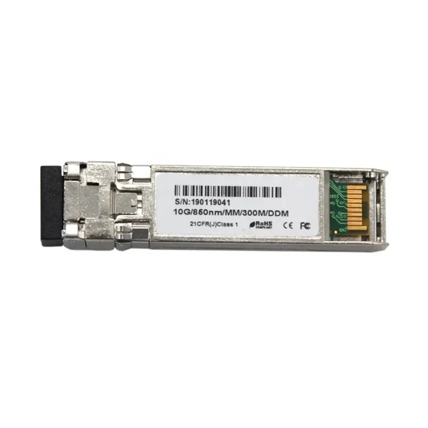 Optical Transport Network Protection