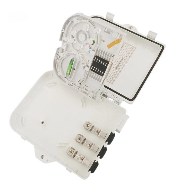 Home fiber broadband connected to router