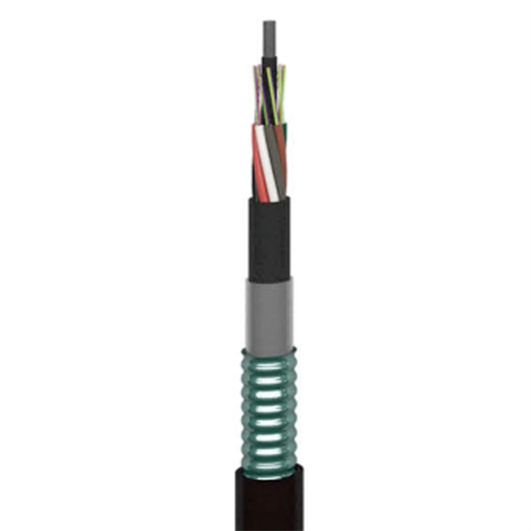 How to connect an optical module switch