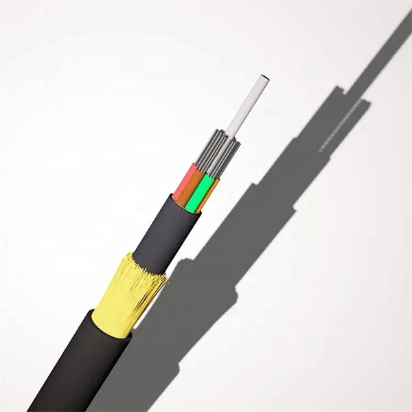 Switch optical connection to wireless router