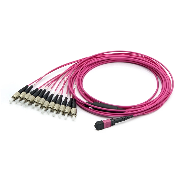 Switch 10 Gigabit Ethernet and Fiber Ports